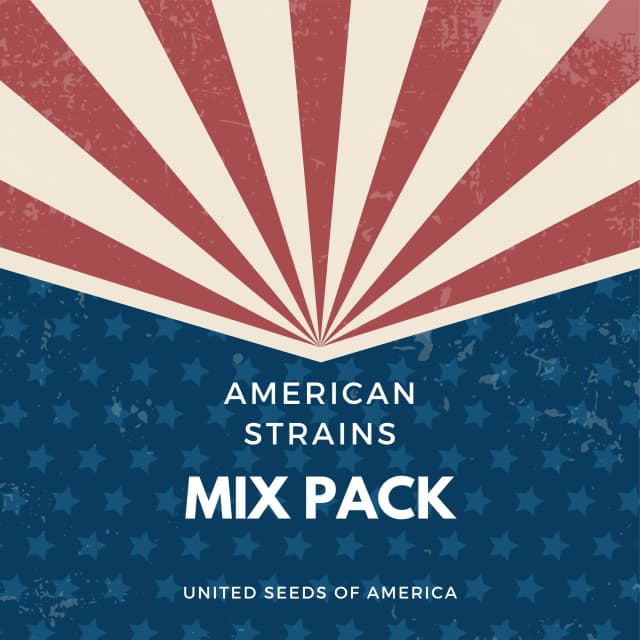 Embalaje de semillas de cannabis American Strain Mixpack — Royal King Seeds España