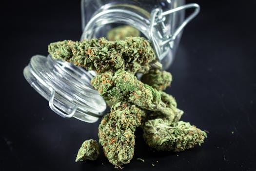 Primer plano detallado de cogollos de cannabis saliendo de un tarro de cristal, destacando su textura y color.