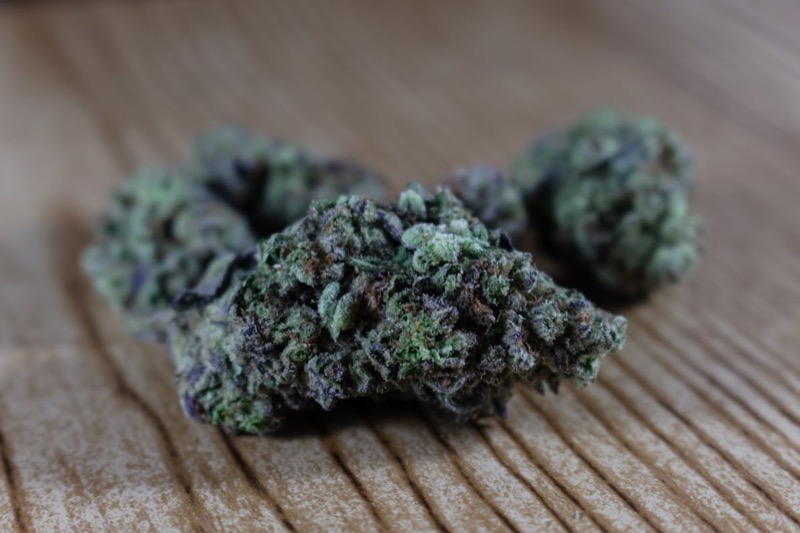 Cogollos de cannabis secos listos para curar en tarros de cristal mostrando una densa cobertura de tricomas