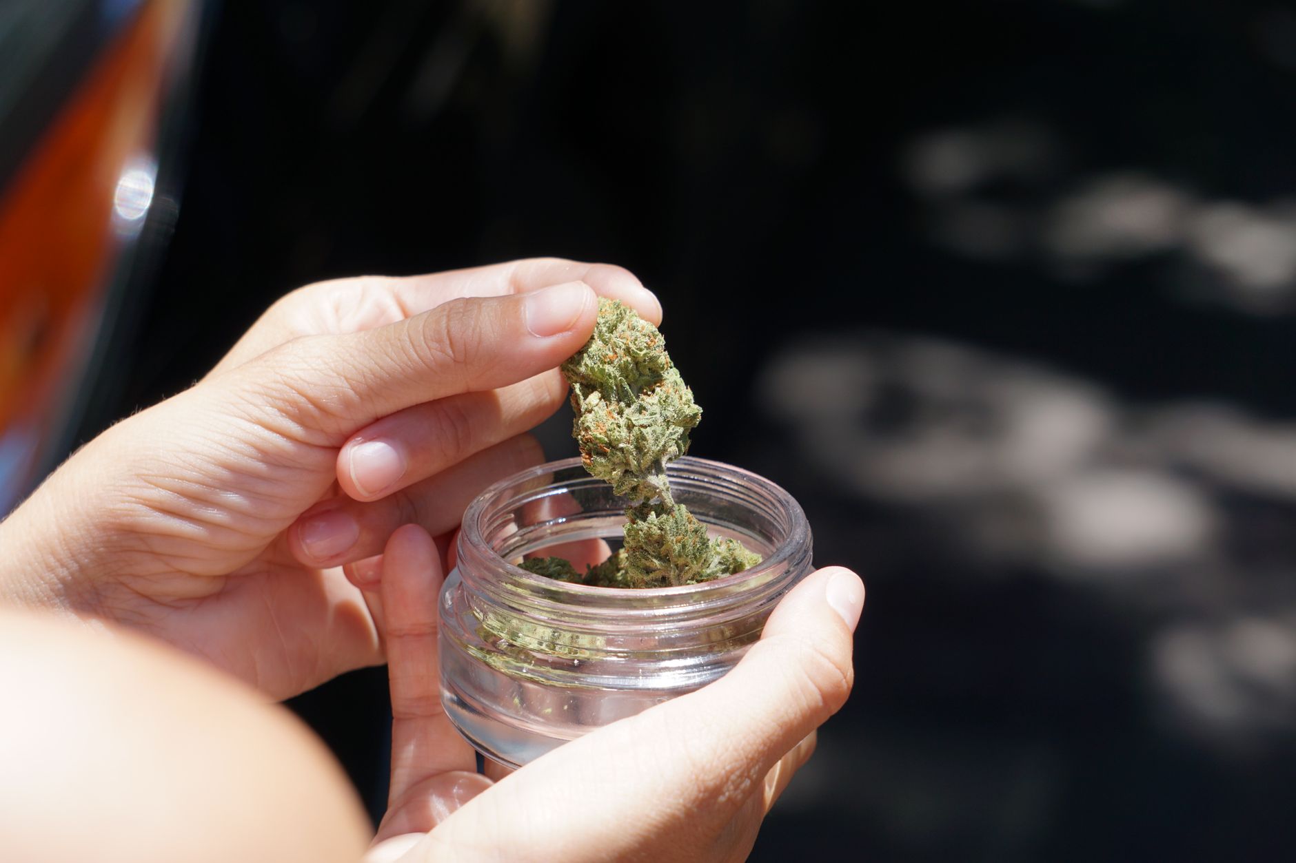 Primer plano de manos sosteniendo cogollos de cannabis en un tarro de cristal al aire libre a la luz del día.