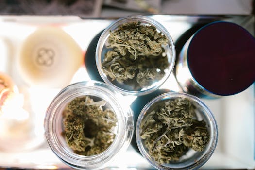Primer plano de cogollos de cannabis en tarros vistos desde arriba, destacando el almacenamiento de marihuana.
