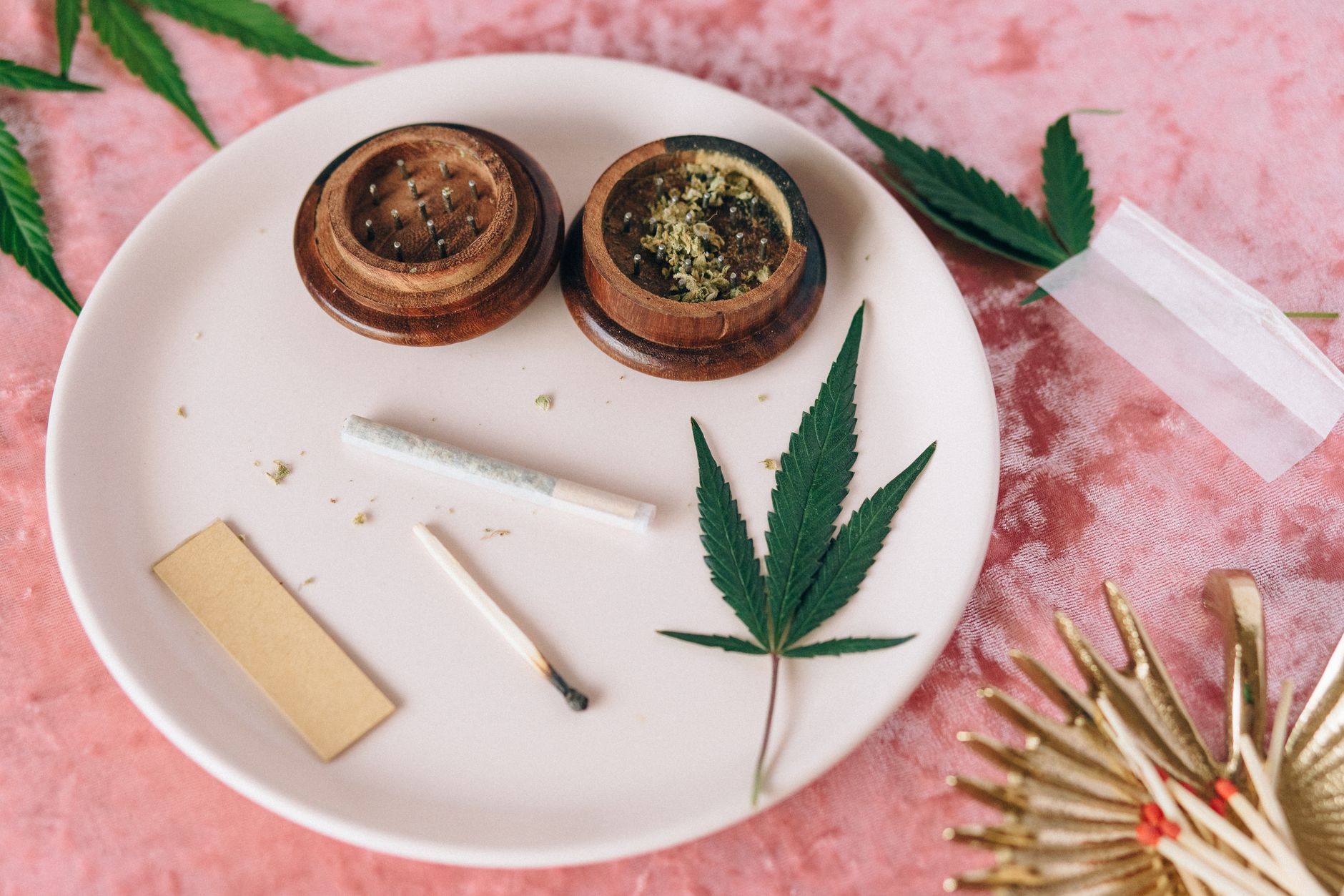 Vista superior de una hoja de cannabis y utensilios de liar sobre un plato, ideal para temáticas de uso medicinal o recreativo.