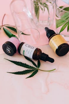 Disposición estética de botellas de aceite de CBD con hojas de cannabis sobre un fondo rosa.