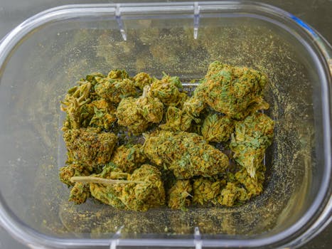 Imagen en primer plano de cogollos de cannabis secos de alta calidad en un recipiente de cristal transparente, con textura y detalle bien definidos.