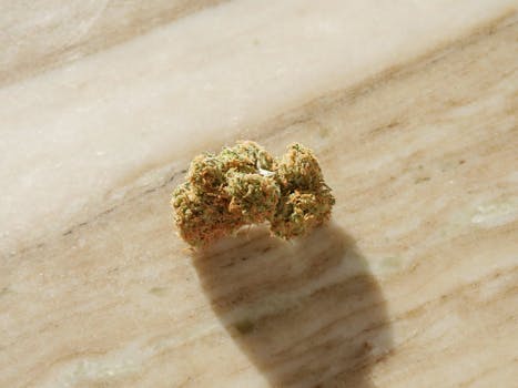 Primer plano macro de un cogollo de cannabis sobre un fondo de mármol claro que muestra textura y detalle.