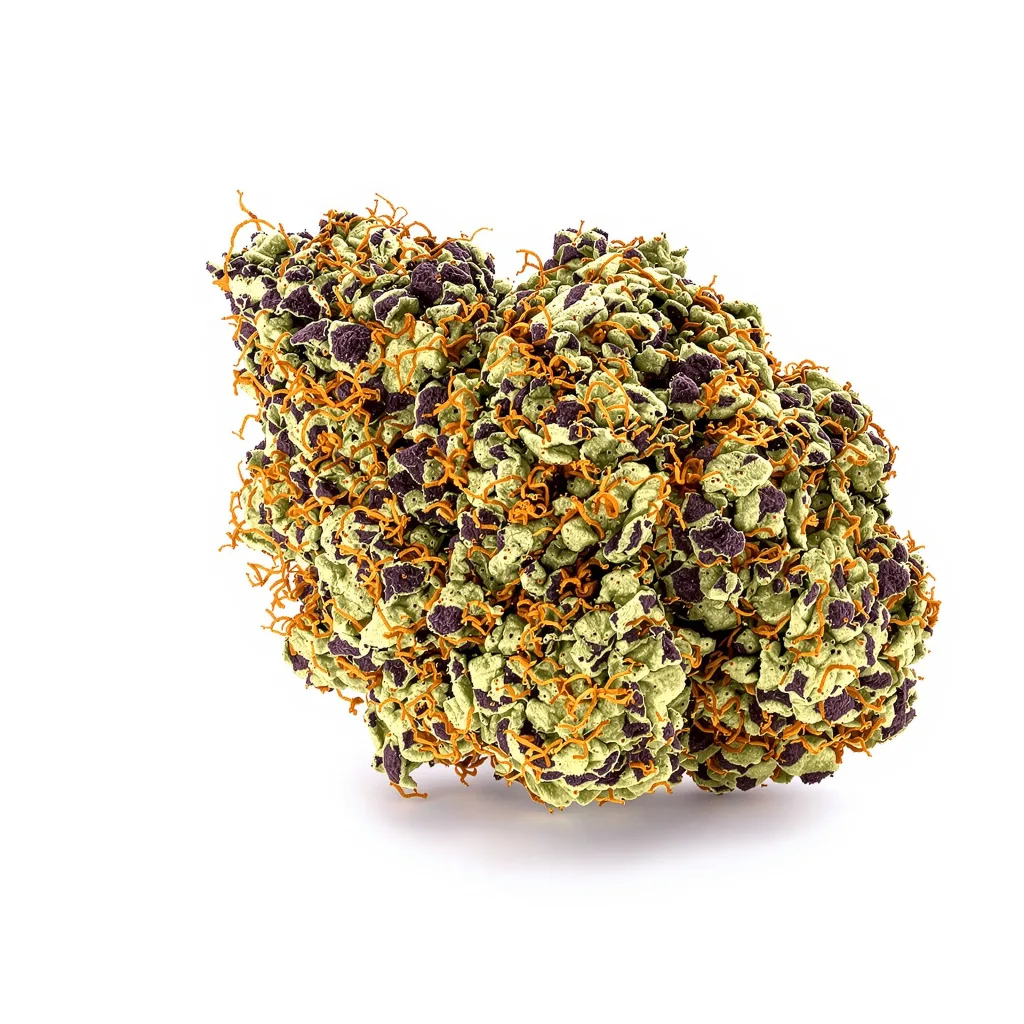 5th Element 79% indica / 21% sativa — flor con tricomas visibles