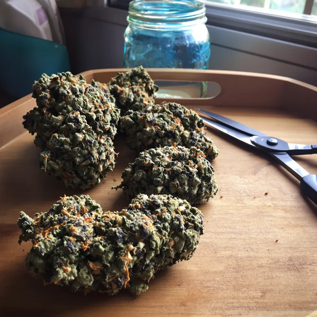 9 Pound Hammer 66% indica / 34% sativa — flor con tricomas visibles