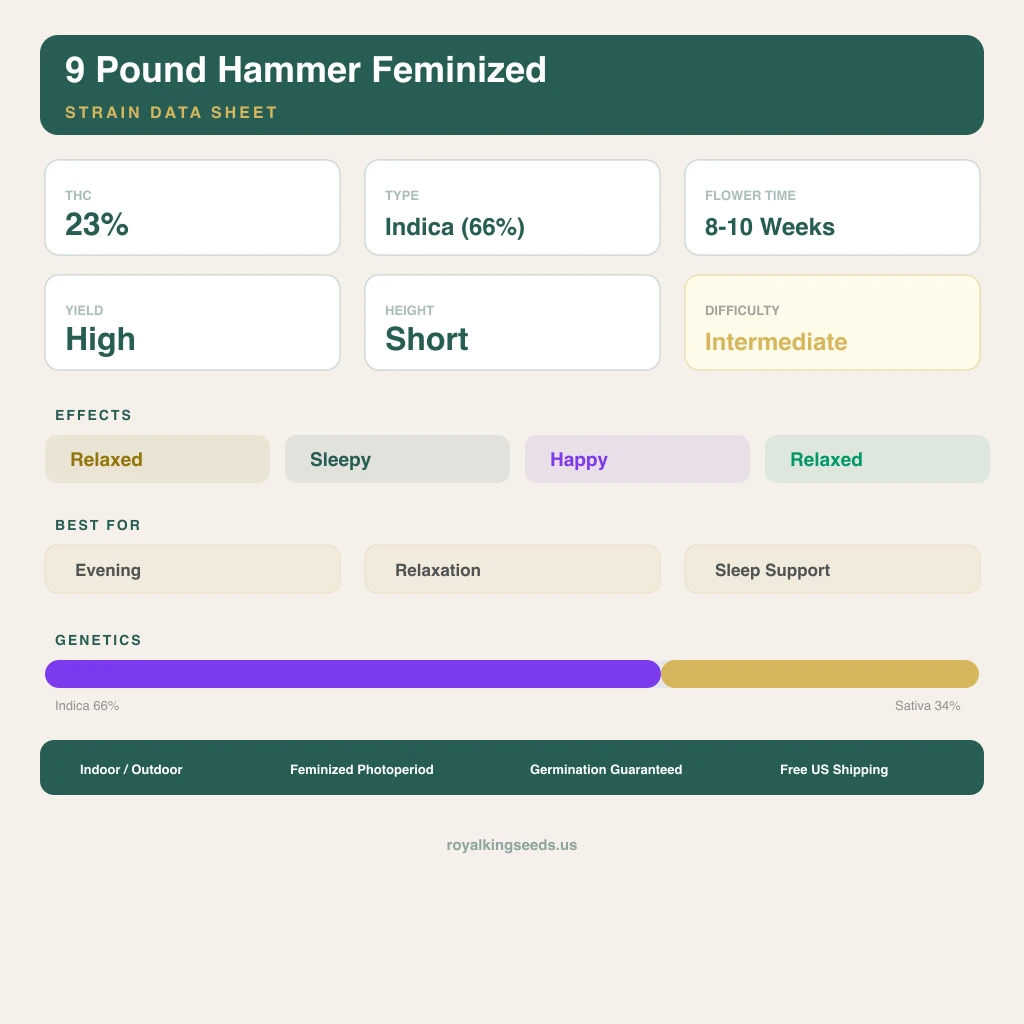 9 Pound Hammer 66% indica / 34% sativa — flor con tricomas visibles