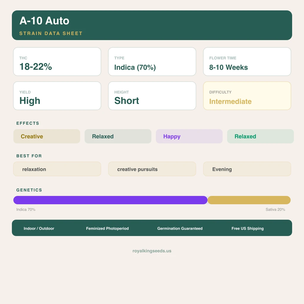 A-10 70% indica / 20% sativa — flor con tricomas visibles