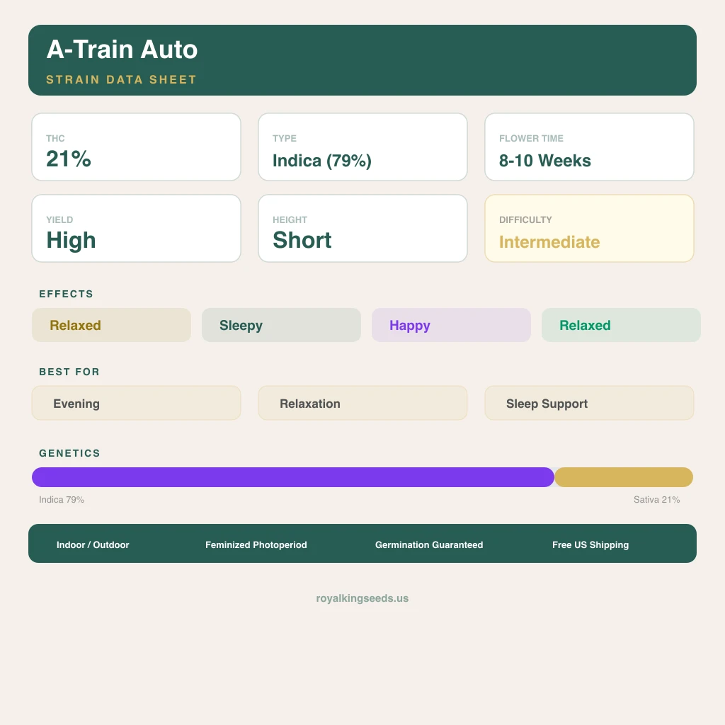 A-Train 79% indica / 21% sativa — flor con tricomas visibles