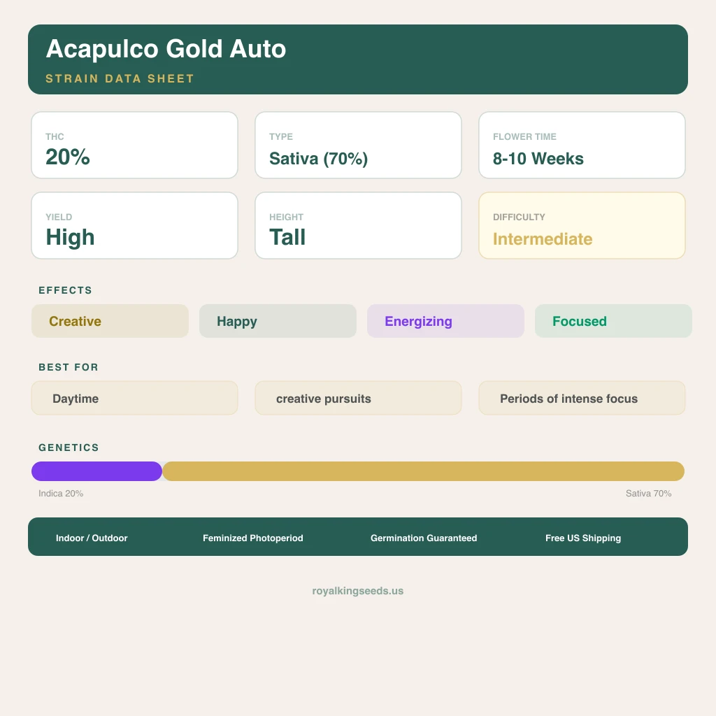 Acapulco Gold 20% indica / 70% sativa — flor con tricomas visibles