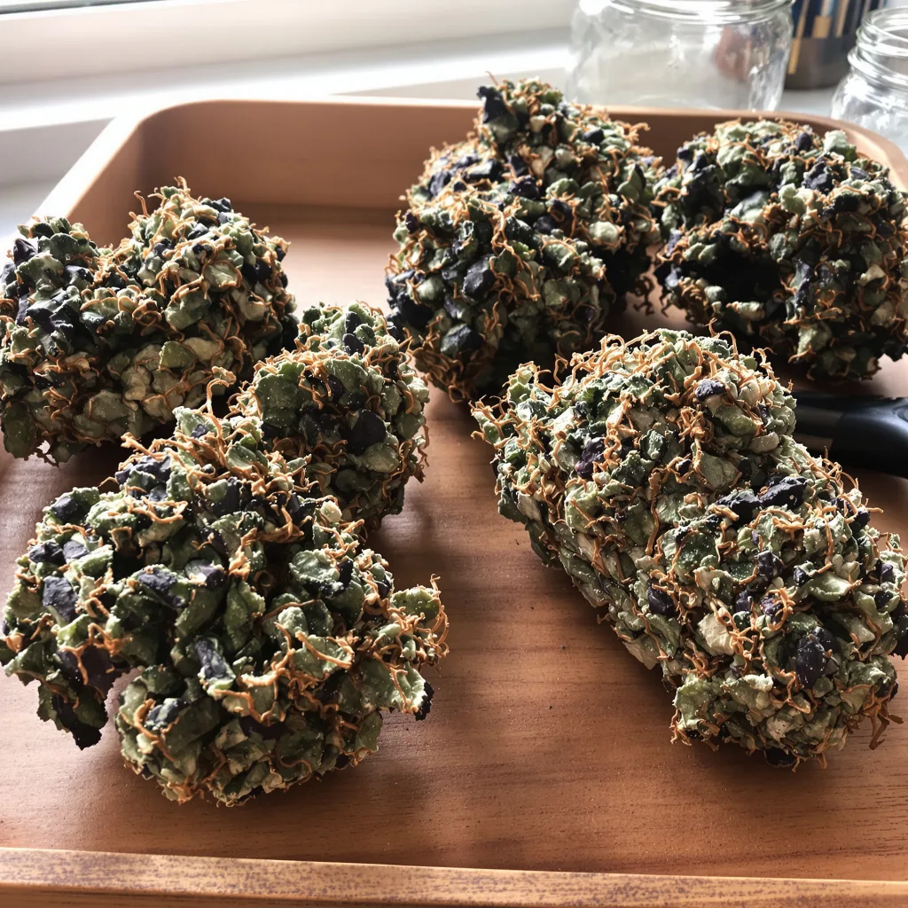 Ace of Spades 66% indica / 34% sativa — flor con tricomas visibles
