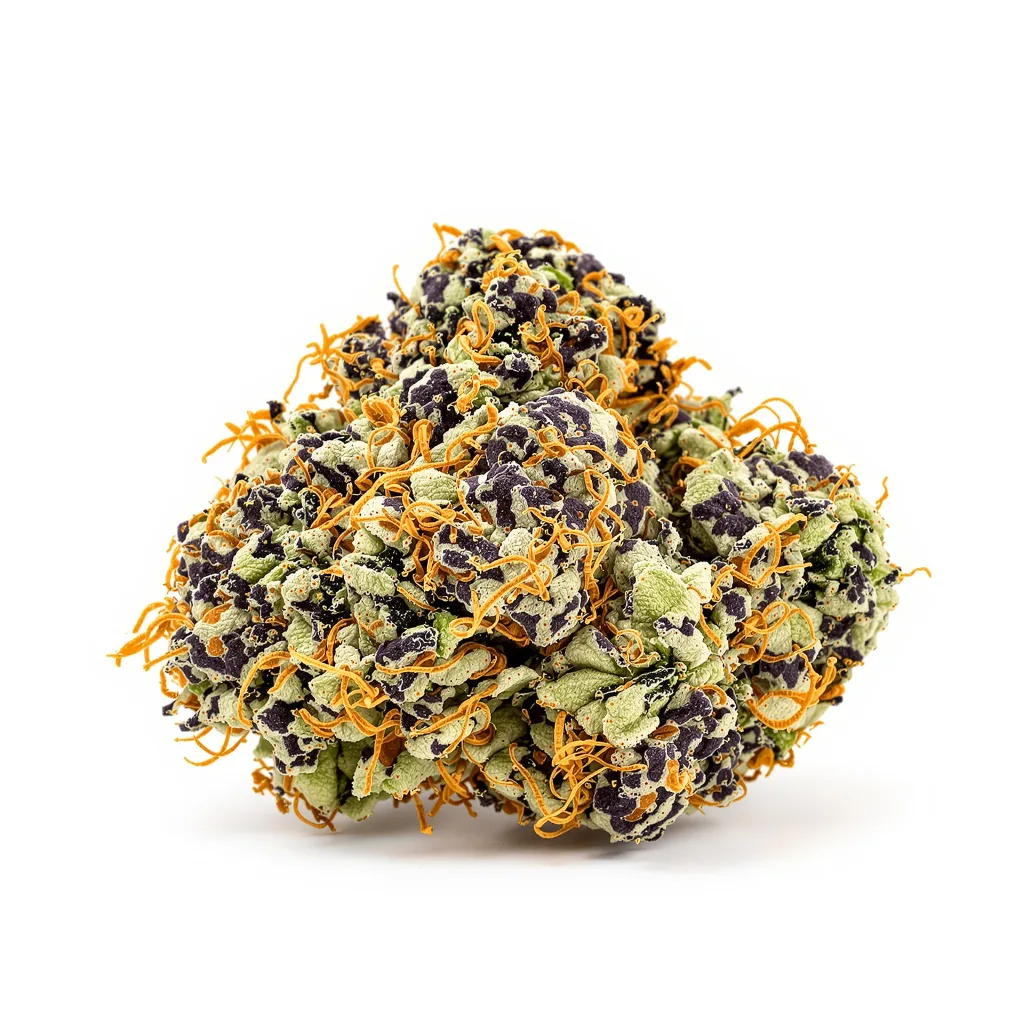 Afghan 70% indica / 30% sativa — flor con tricomas visibles
