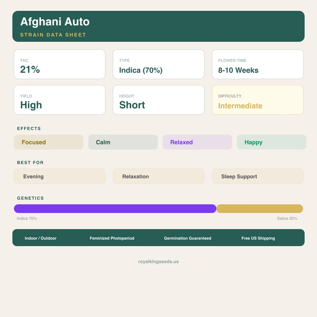 Afghani 70% indica / 30% sativa — flor con tricomas visibles