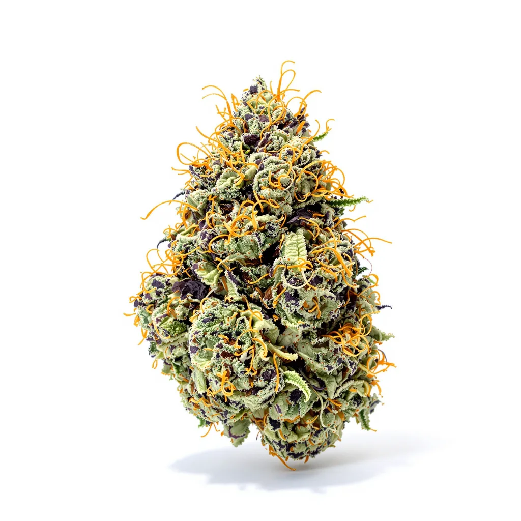 Afghani Bullrider 70% indica / 30% sativa — flor con tricomas visibles