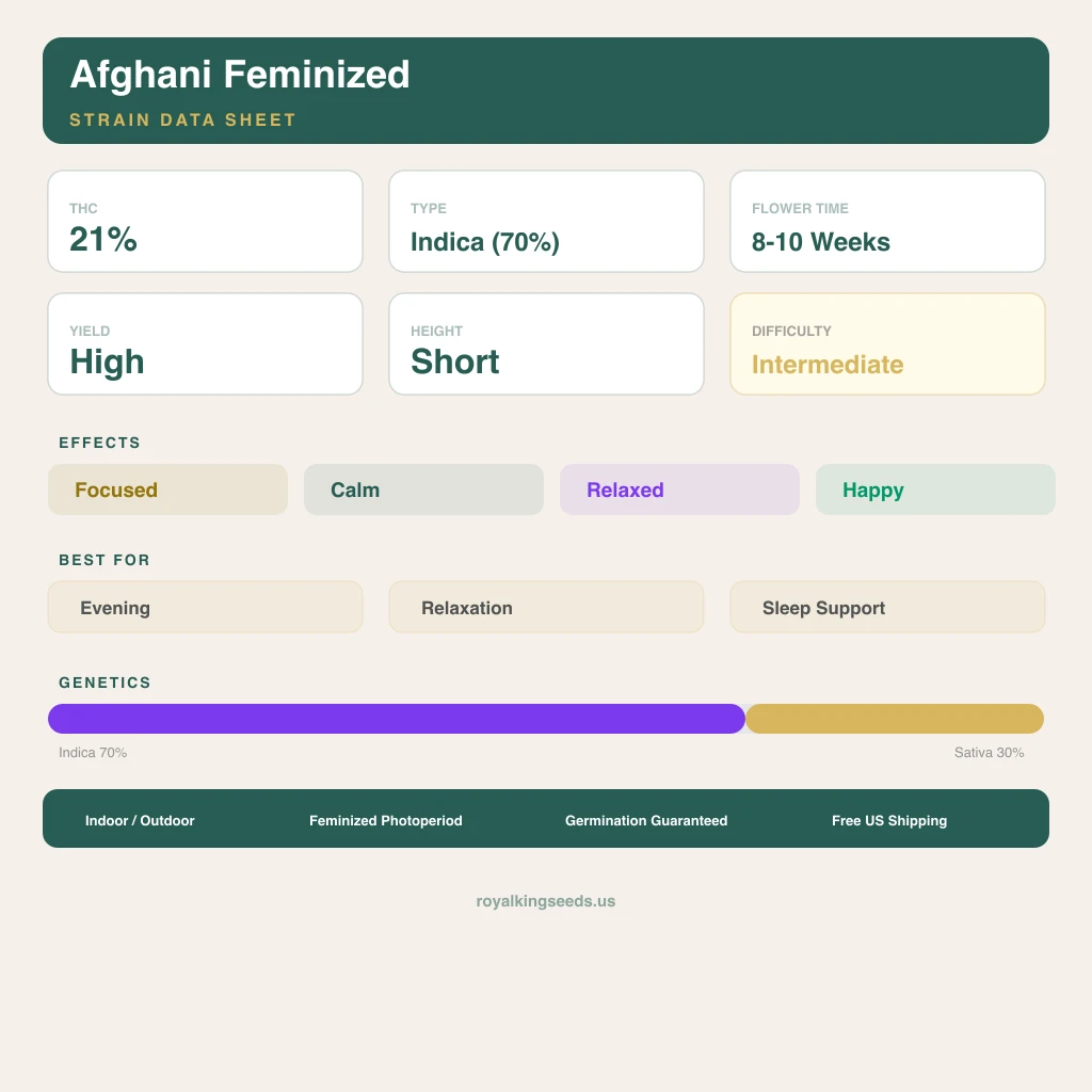 Afghani 70% indica / 30% sativa — flor con tricomas visibles