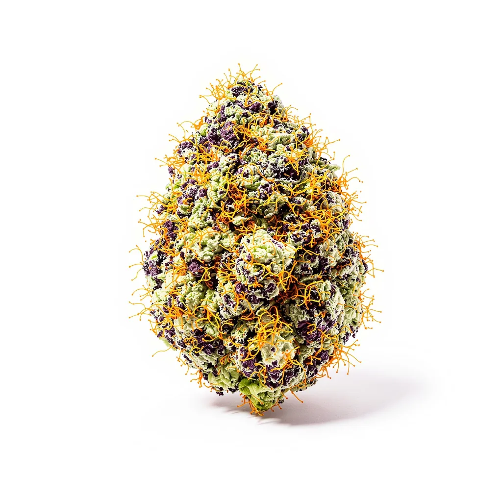 Alien Bubba 79% indica / 21% sativa — flor con tricomas visibles