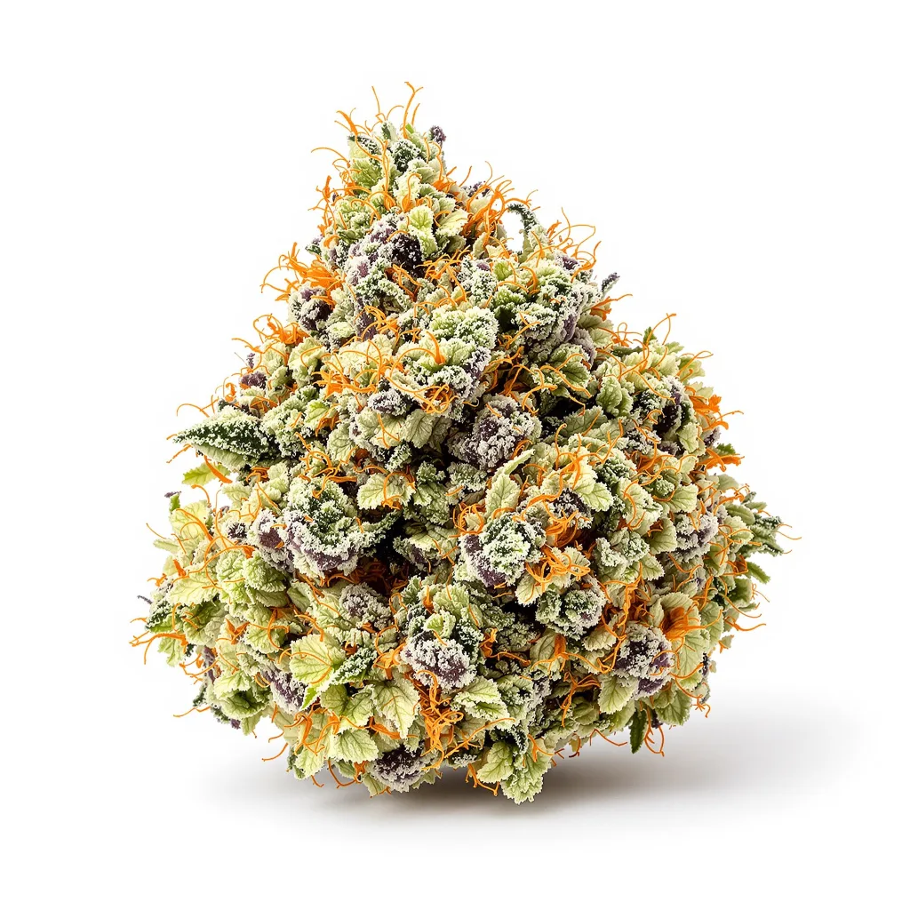 Alien Kush 52% indica / 48% sativa — flor con tricomas visibles