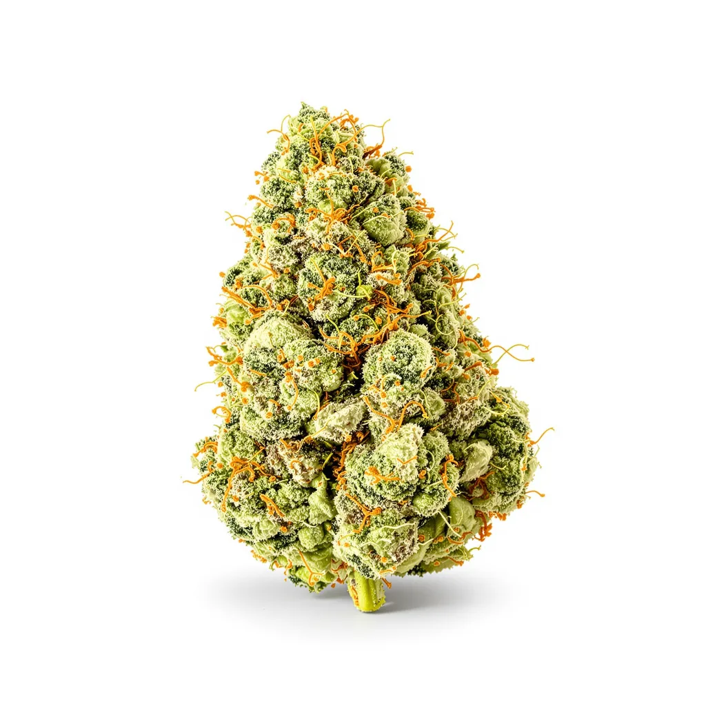 Ambrosia 16% indica / 84% sativa — flor con tricomas visibles