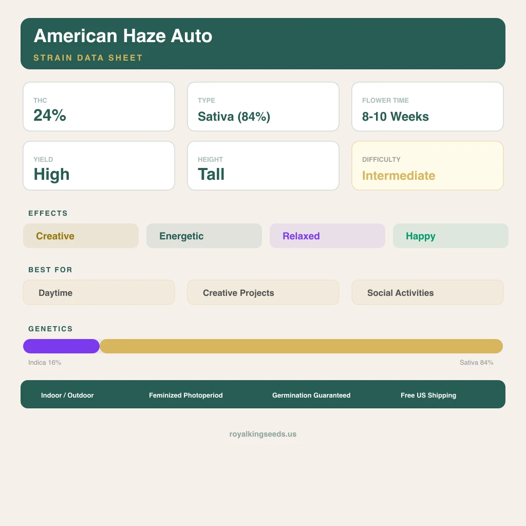 American Haze 16% indica / 84% sativa — flor con tricomas visibles