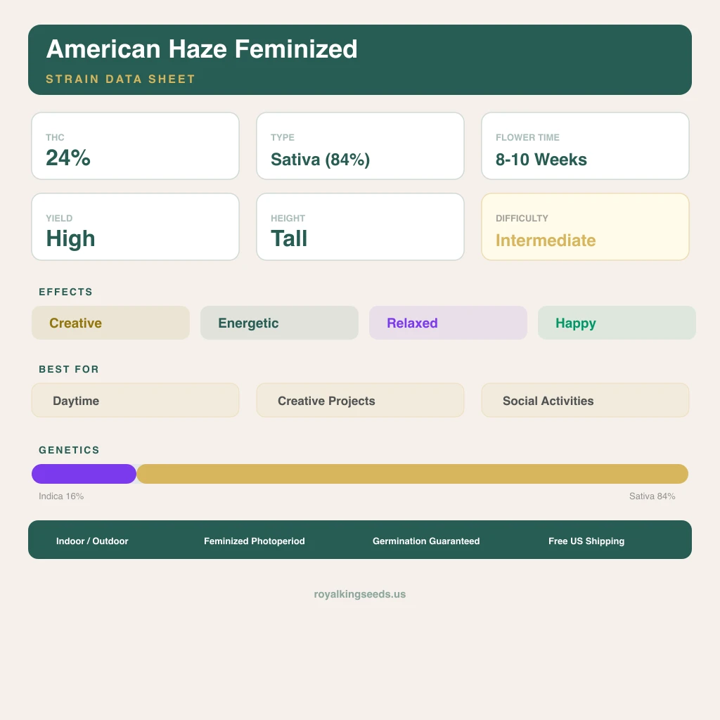American Haze 16% indica / 84% sativa — flor con tricomas visibles