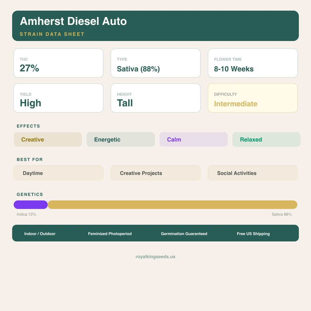 Amherst Diesel 12% indica / 88% sativa — flor con tricomas visibles