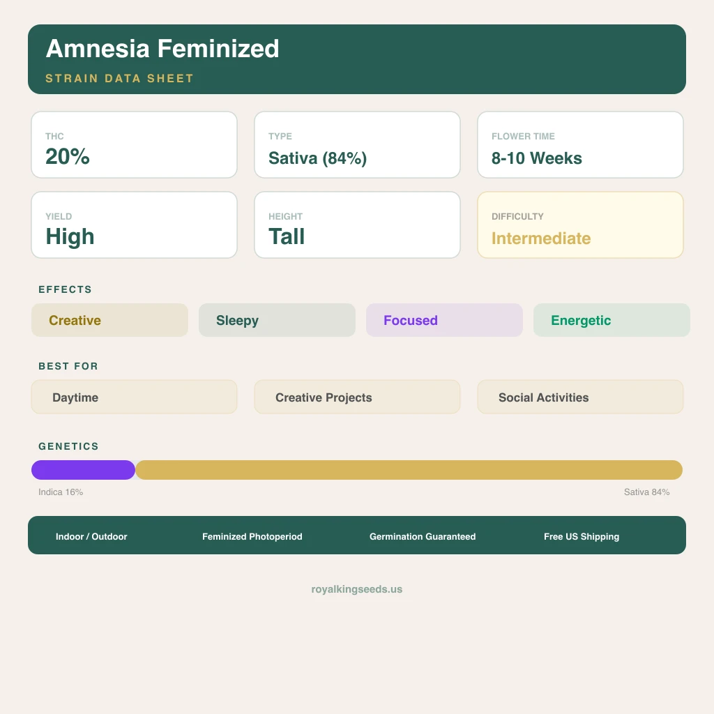 Amnesia 16% indica / 84% sativa — flor con tricomas visibles