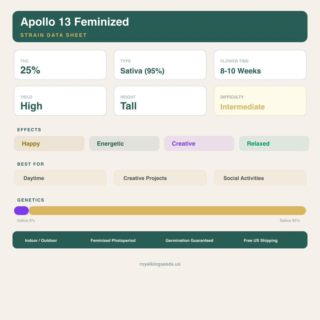 Apollo 13 5% indica / 95% sativa — flor con tricomas visibles