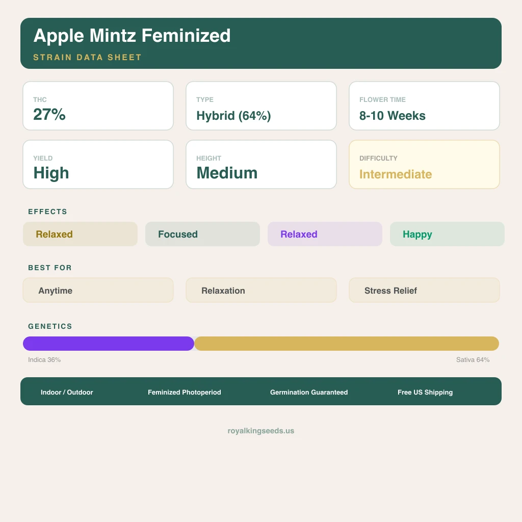 Apple Mintz 36% indica / 64% sativa — flor con tricomas visibles