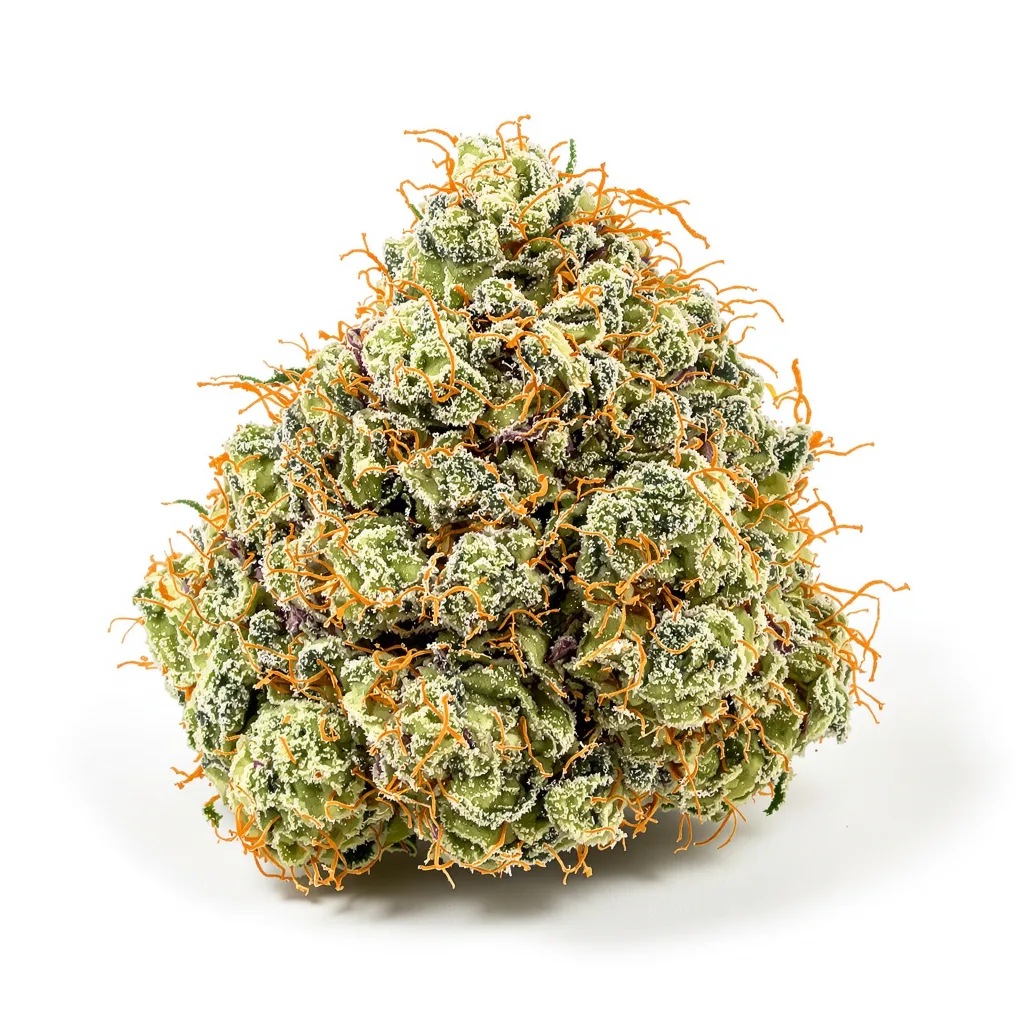 Apple Mintz 36% indica / 64% sativa — flor con tricomas visibles