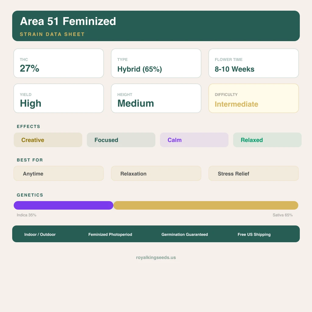 Area 51 35% indica / 65% sativa — flor con tricomas visibles