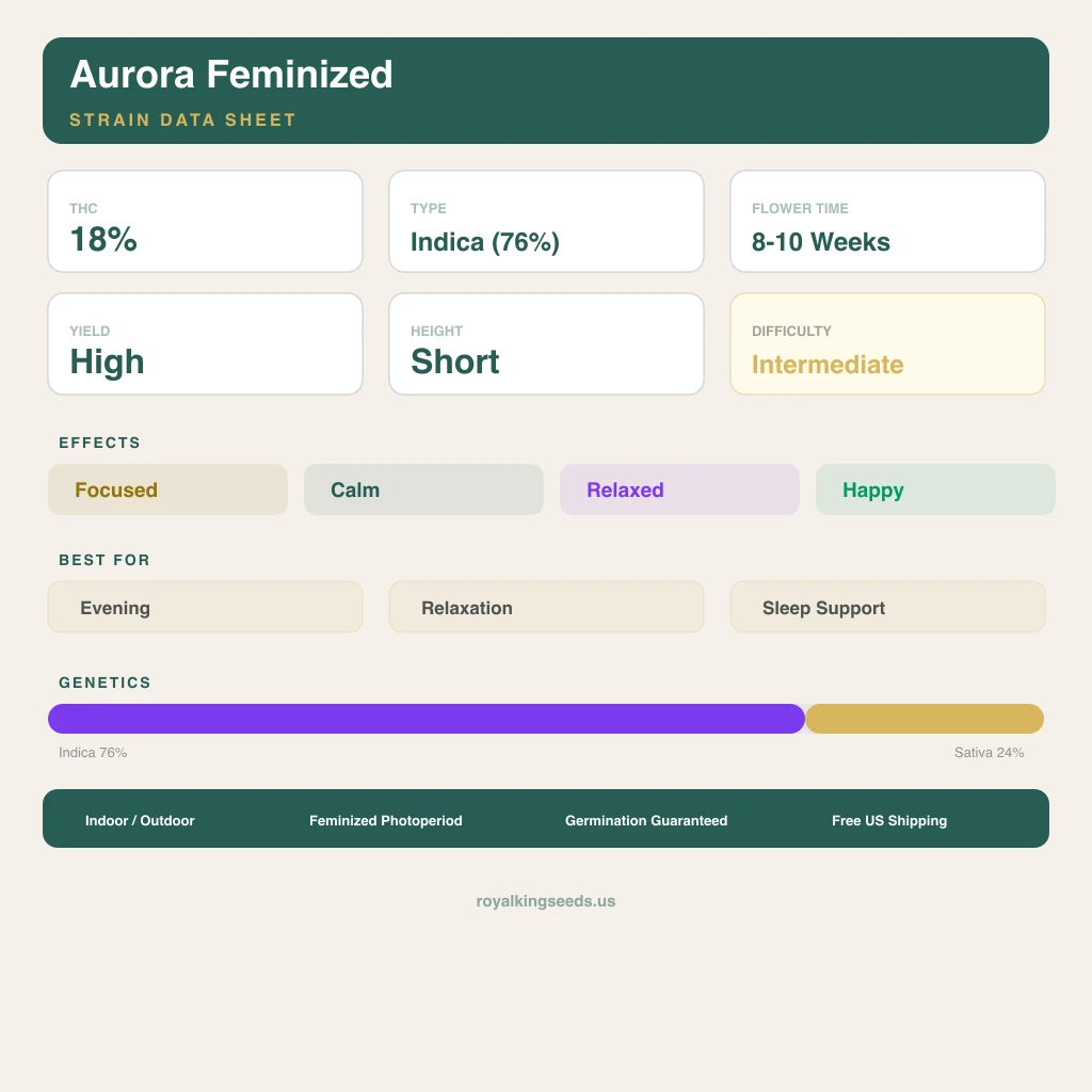 Aurora 76% indica / 24% sativa — flor con tricomas visibles