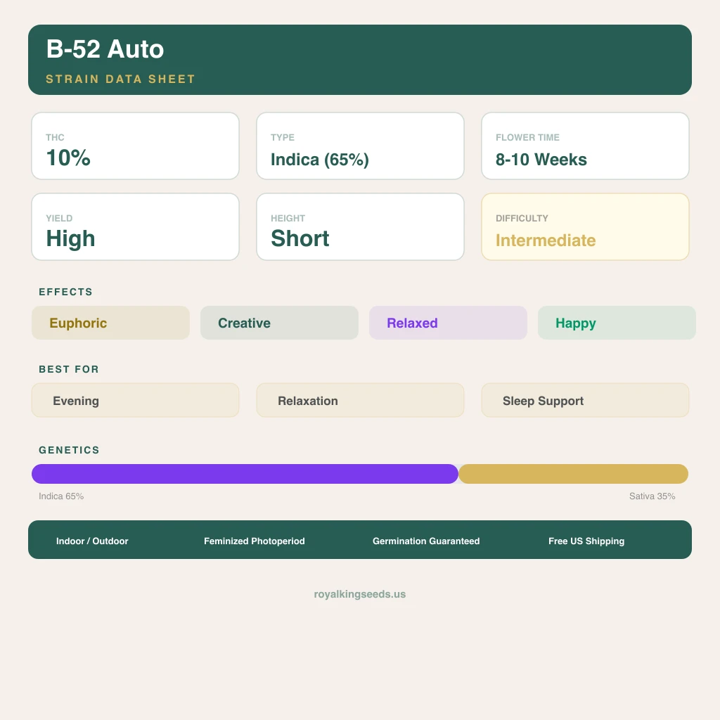 B-52 65% indica / 35% sativa — flor con tricomas visibles