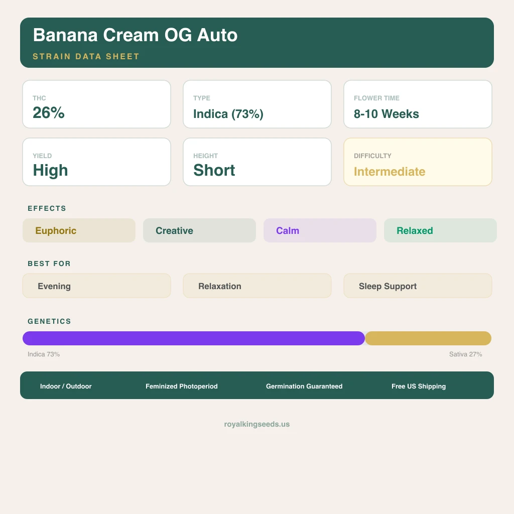 Banana Cream OG 73% indica / 27% sativa — flor con tricomas visibles