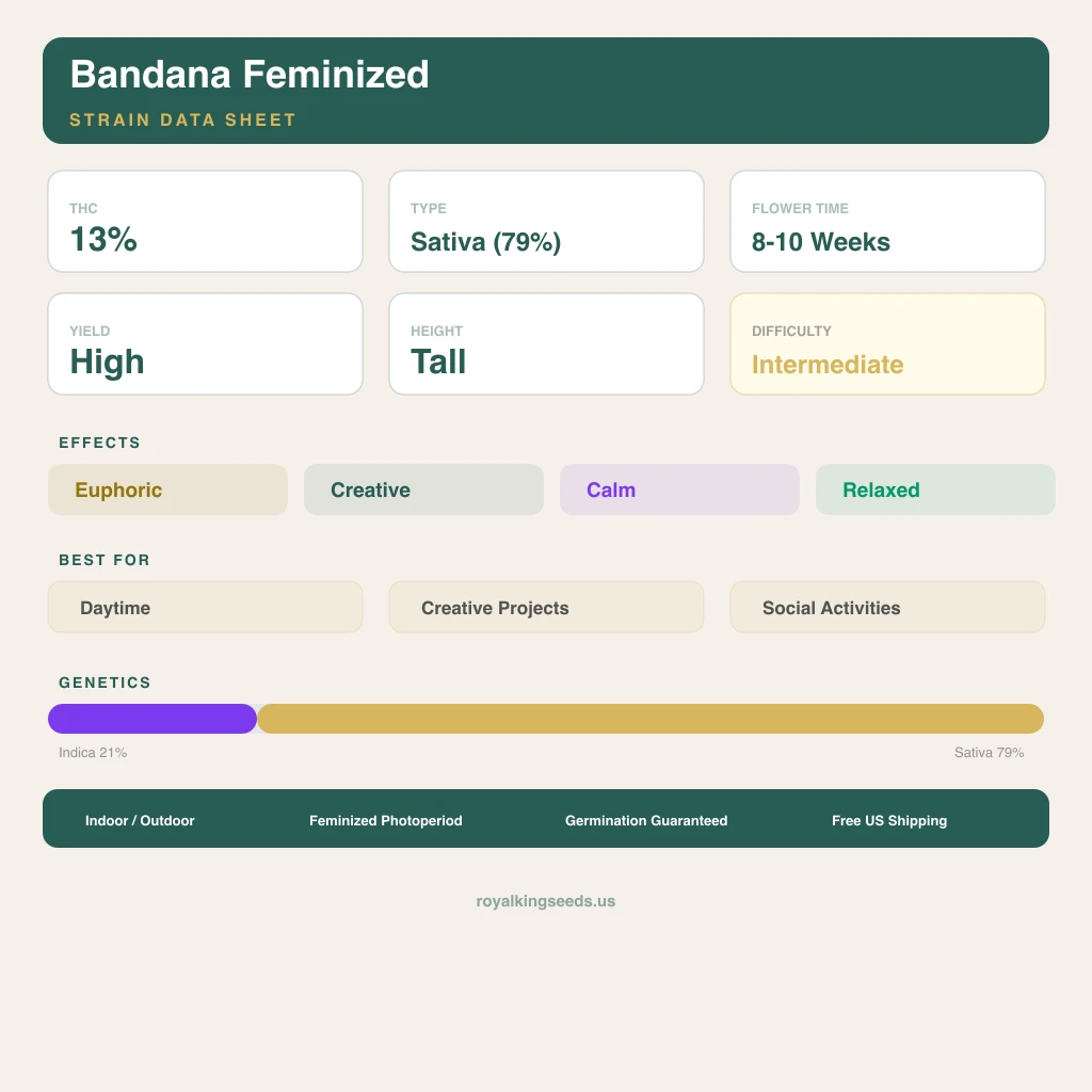 Bandana 21% indica / 79% sativa — flor con tricomas visibles