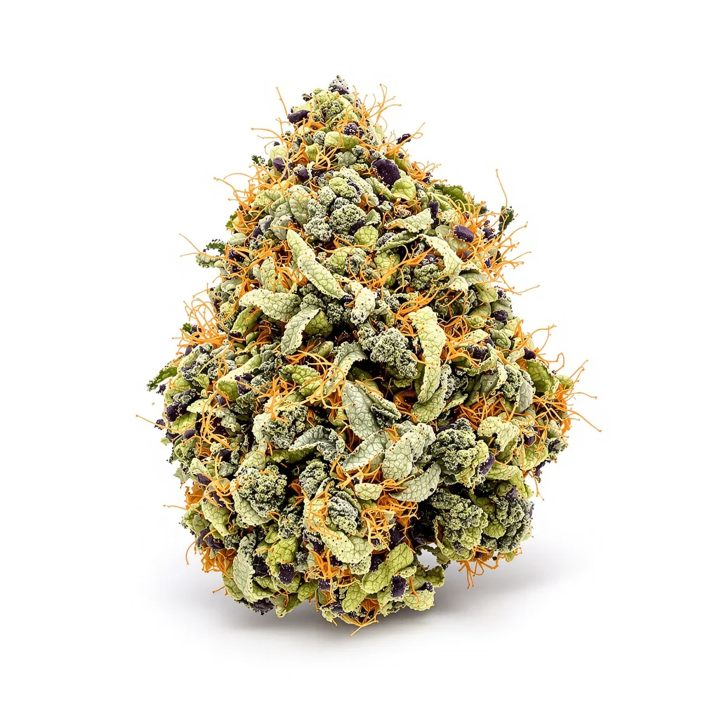 Barbara Bud 69% indica / 31% sativa — flor con tricomas visibles