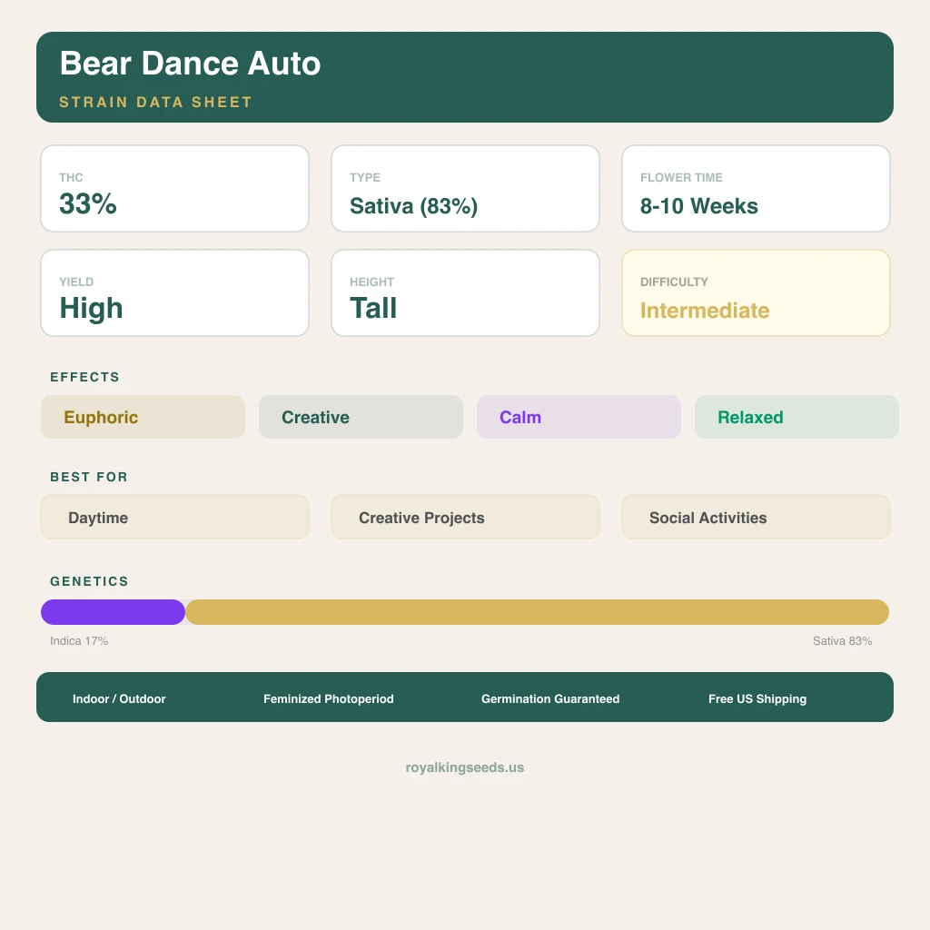 Bear Dance 17% indica / 83% sativa — flor con tricomas visibles