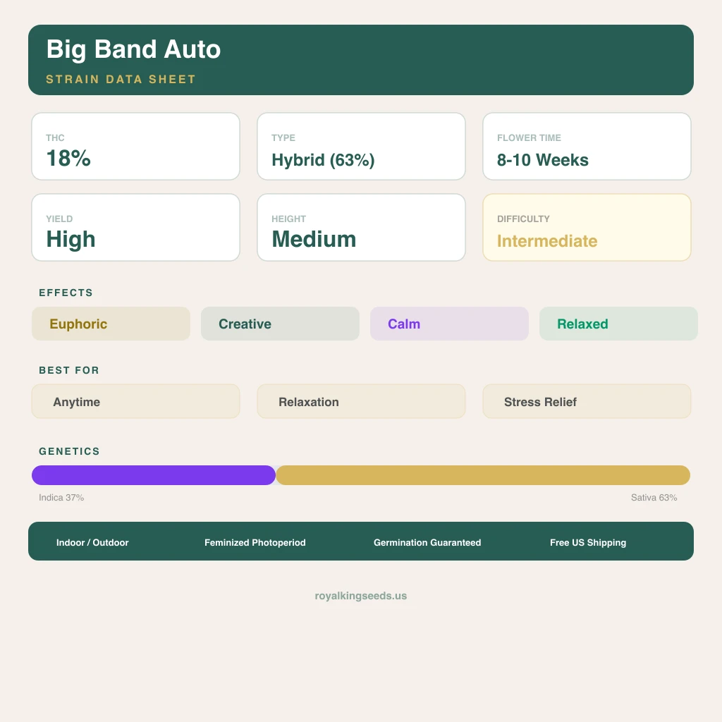 Big Band 37% indica / 63% sativa — flor con tricomas visibles