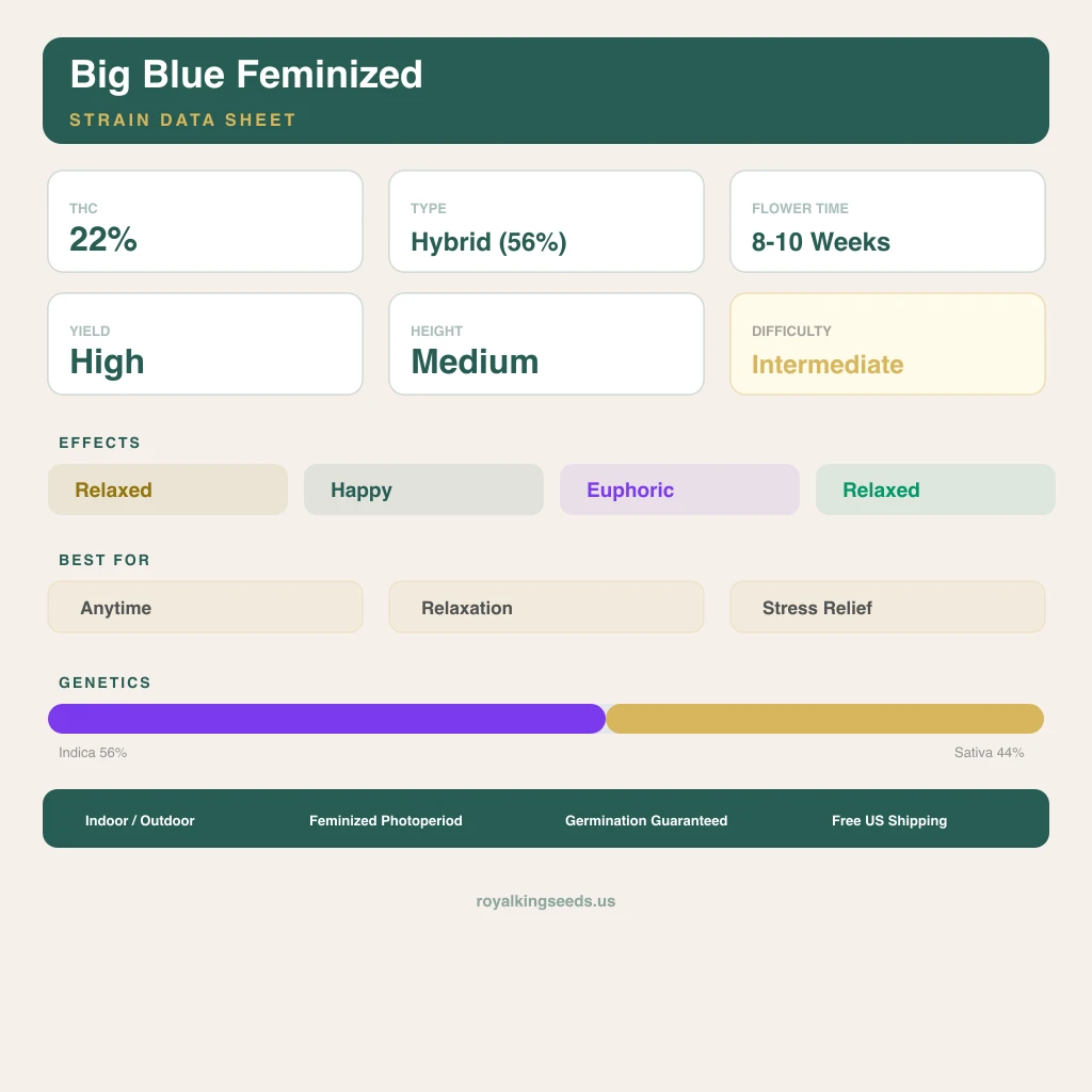 Big Blue 56% indica / 44% sativa — flor con tricomas visibles