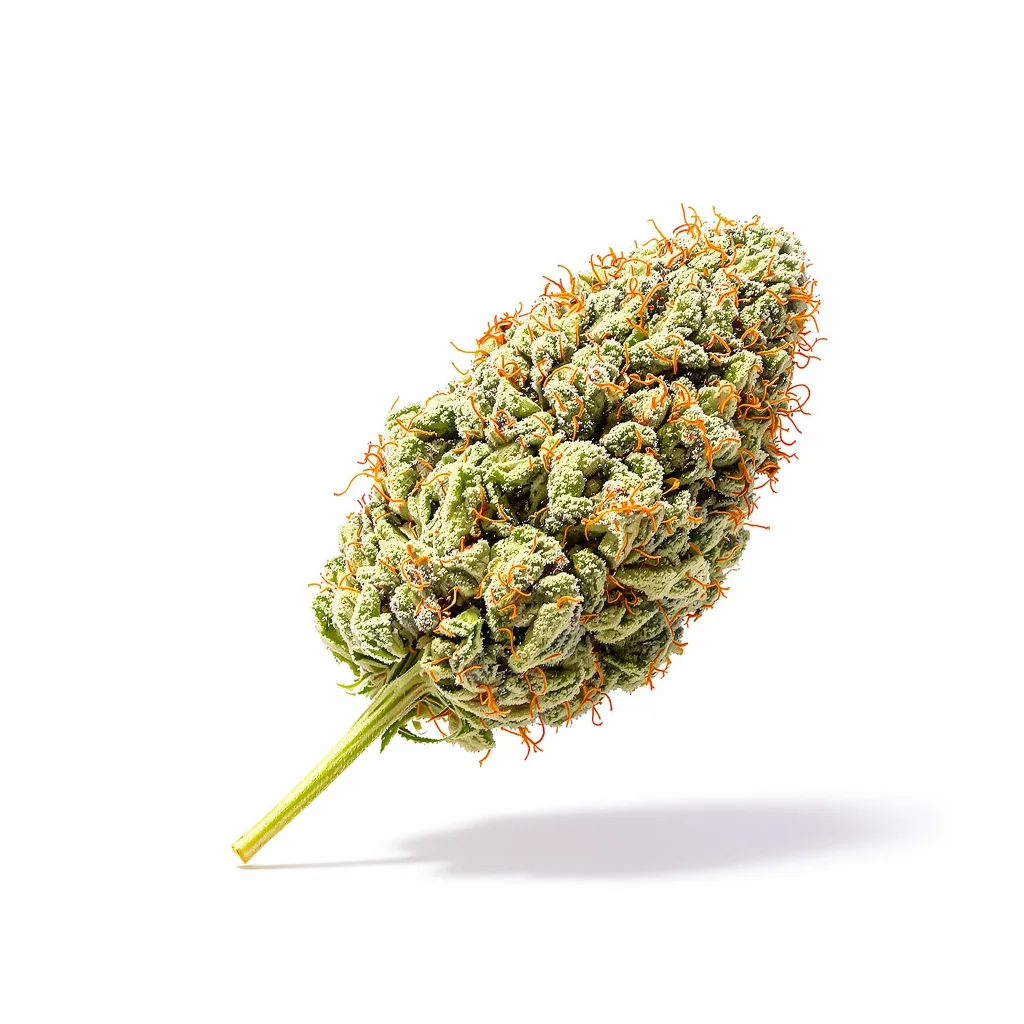 Big Devil 44% indica / 56% sativa — flor con tricomas visibles