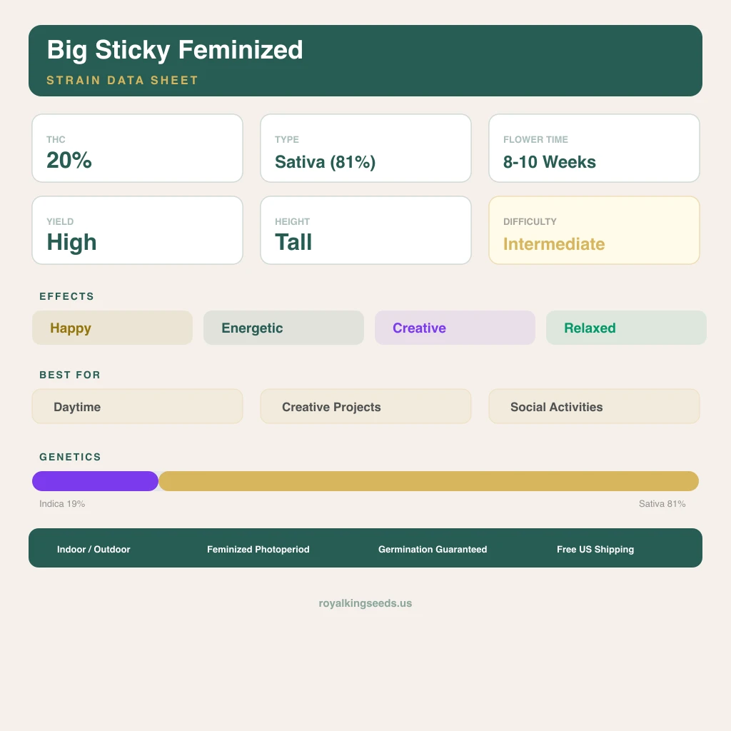Big Sticky 19% indica / 81% sativa — flor con tricomas visibles
