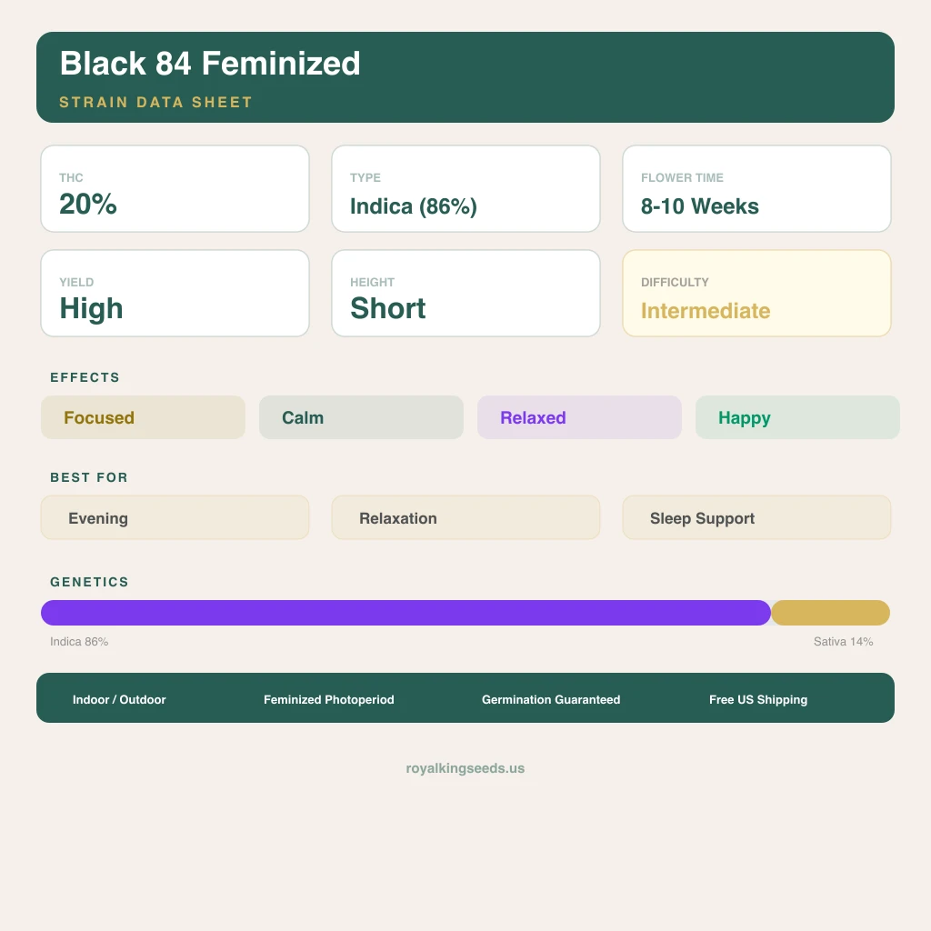Black 84 86% indica / 14% sativa — flor con tricomas visibles