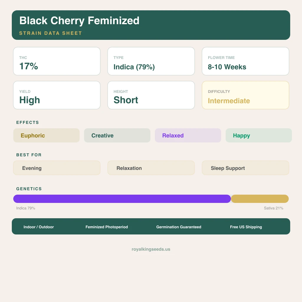 Black Cherry 79% indica / 21% sativa — flor con tricomas visibles