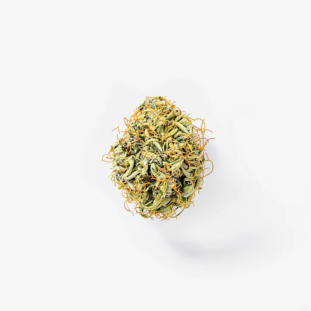 Black Cherry Soda 20% indica / 80% sativa — flor con tricomas visibles
