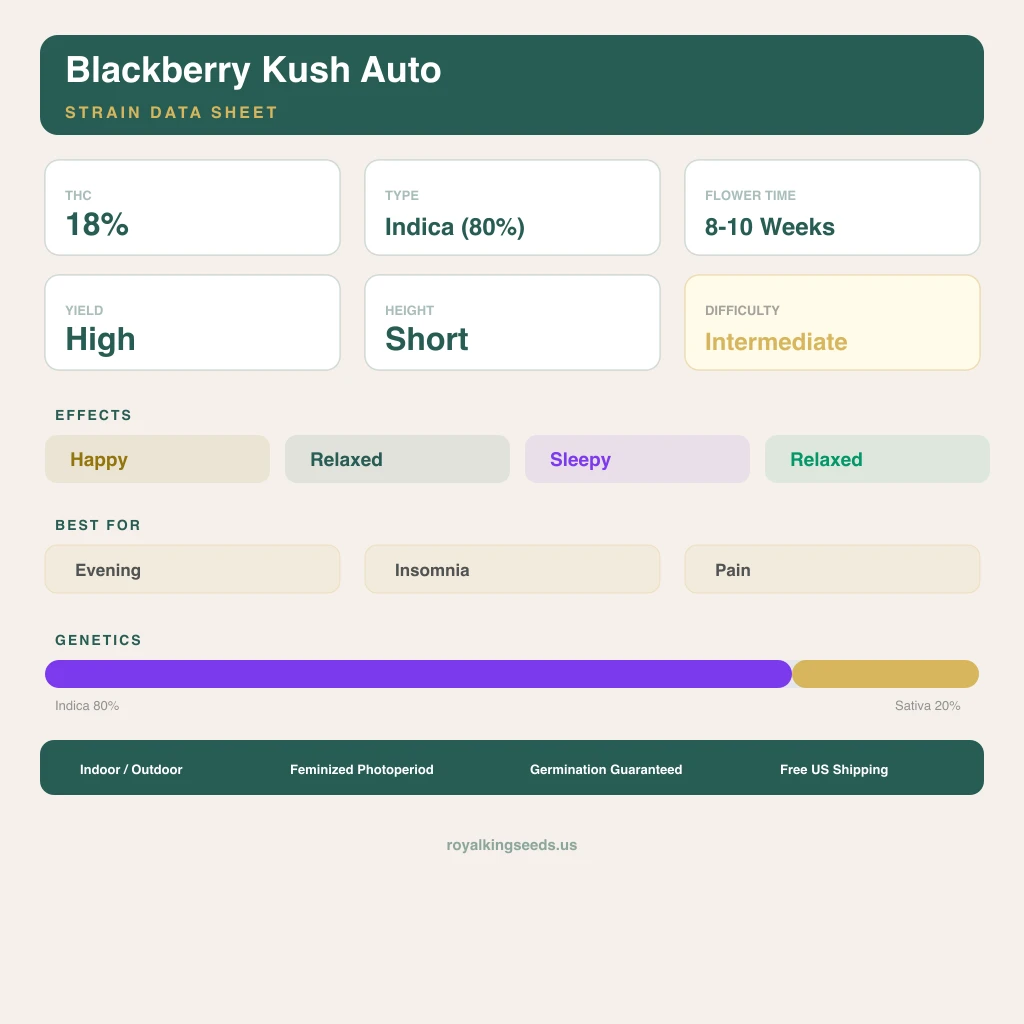 Blackberry Kush 80% indica / 20% sativa — flor con tricomas visibles