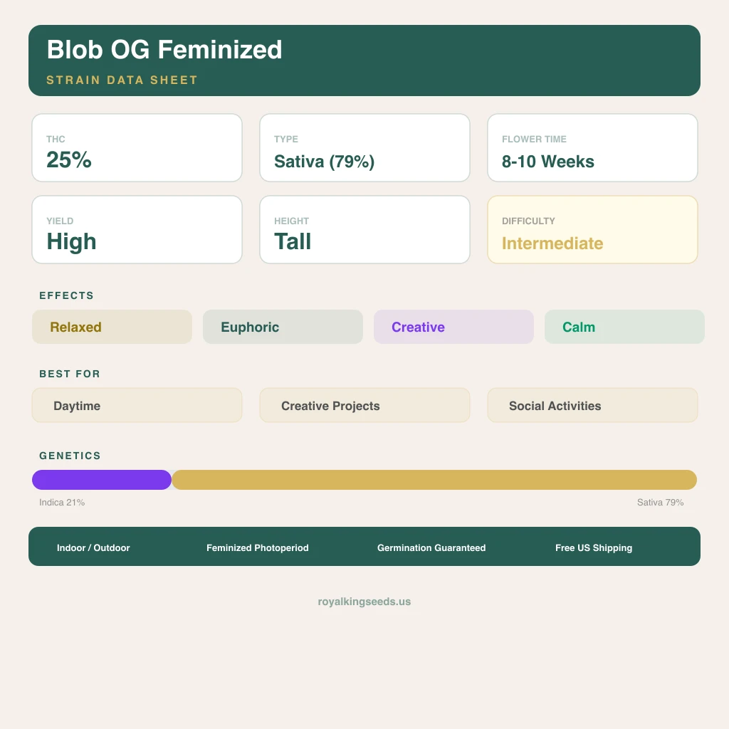 Blob OG 21% indica / 79% sativa — flor con tricomas visibles