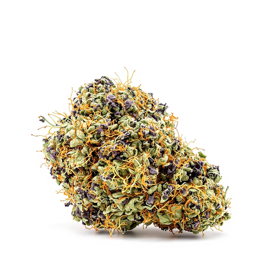 Blue Blood 72% indica / 28% sativa — flor con tricomas visibles