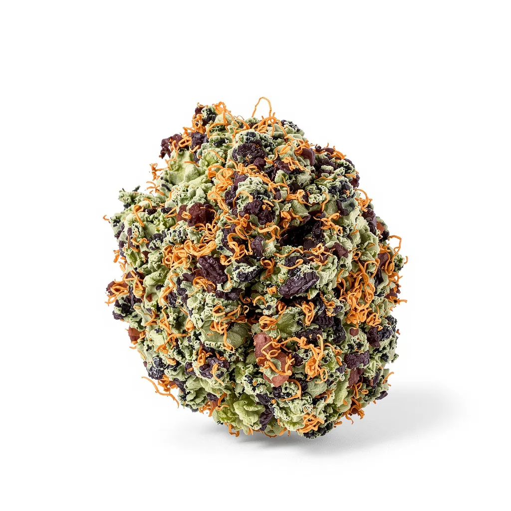 Blue Dynamite 65% indica / 35% sativa — flor con tricomas visibles