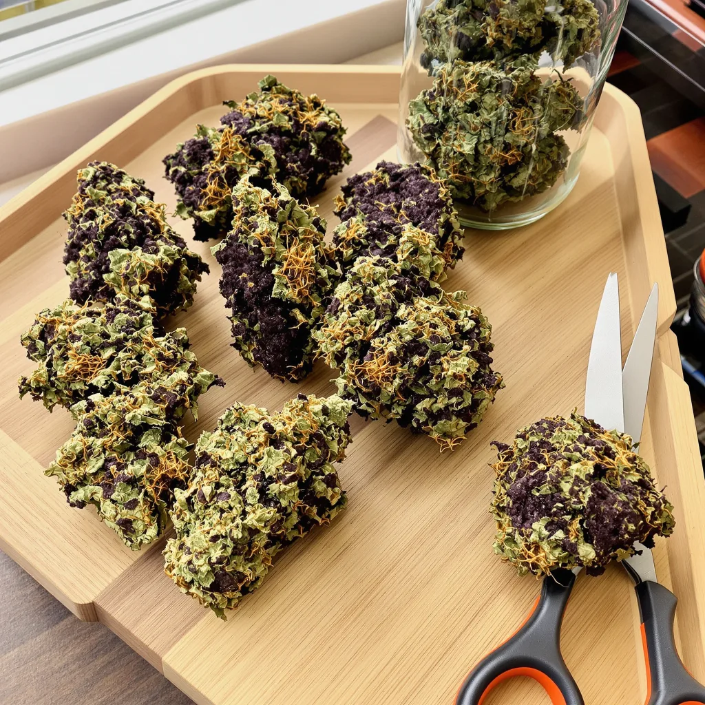 Blue Fruit 86% indica / 14% sativa — flor con tricomas visibles