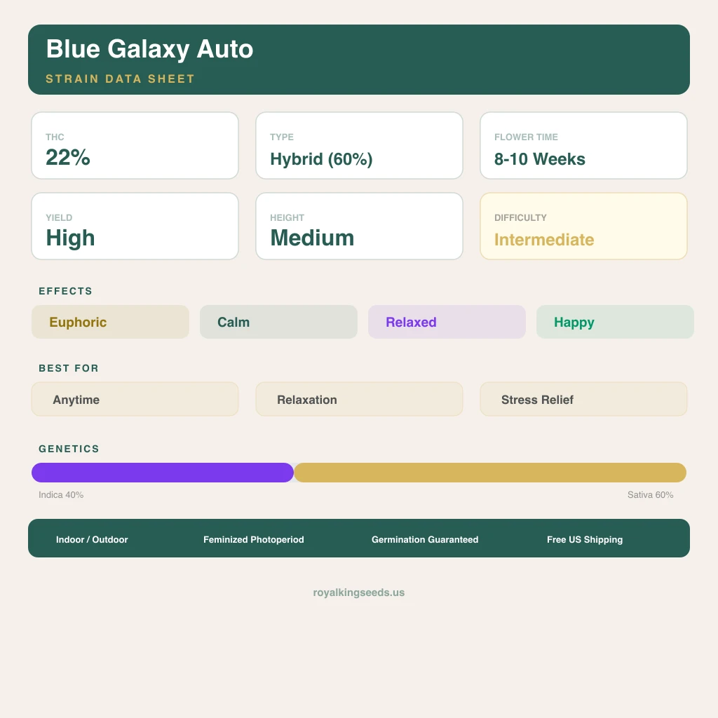 Blue Galaxy 40% indica / 60% sativa — flor con tricomas visibles